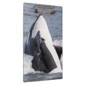 Porte-bloc Éruption d'une baleine orque (Swatch)