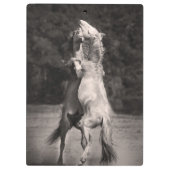 Porte-bloc Étalons de danse (Dos)