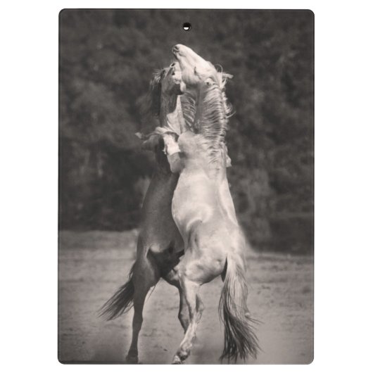 Porte-bloc Étalons de danse (Dos)