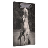 Porte-bloc Étalons de danse (Swatch)