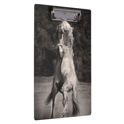 Porte-bloc Étalons de danse (Swatch)