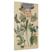 Porte-bloc Étapes de la vie des papillons par Vision Studio (Swatch)