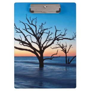 Porte-bloc États-Unis, Caroline du Sud, île d'Edisto, Botany 