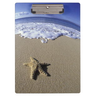 Porte-bloc États-Unis, Hawaï, Maui, Makena Beach, Étoile de m