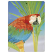 Porte-bloc États-Unis, Hawaï. Perroquet (Dos)