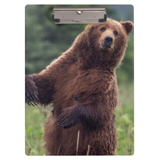 Porte-bloc États-Unis, sud-est de l'Alaska, ours Brown et pet (Devant)