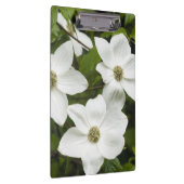 Porte-bloc États-Unis, Washington, Pacific Dogwood, Cornus (Swatch)