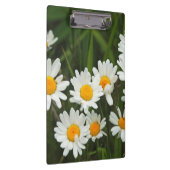 Porte-bloc États-Unis, Washington, Seattle, Puget Sound 3 (Swatch)