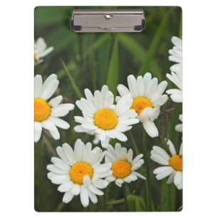 Porte-bloc États-Unis, Washington, Seattle, Puget Sound 3