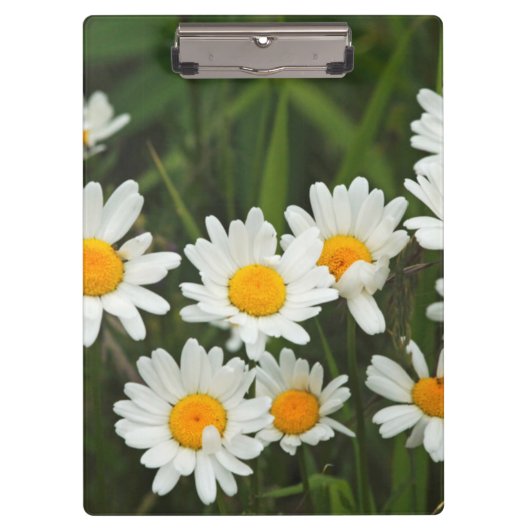 Porte-bloc États-Unis, Washington, Seattle, Puget Sound 3 (Devant)