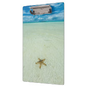 Porte-bloc Étoile marine dans les eaux peu profondes, Palau (Gauche)