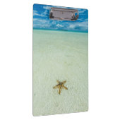 Porte-bloc Étoile marine dans les eaux peu profondes, Palau (Swatch)