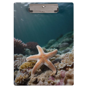 Porte-bloc Étoiles de mer dans les profondeurs de la mer