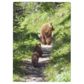 Porte-bloc Famille d'ours brun (Dos)
