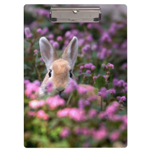 Porte-bloc Ferme de lapins (Devant)