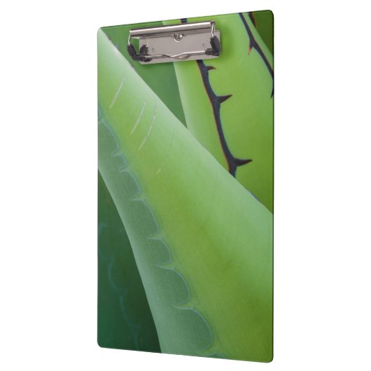 Porte-bloc Fermer l'agave (Gauche)