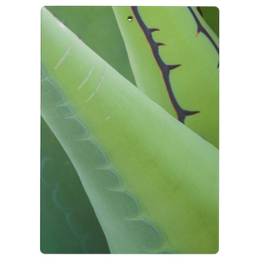 Porte-bloc Fermer l'agave (Dos)