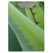 Porte-bloc Fermer l'agave (Devant)