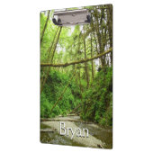 Porte-bloc Fern Canyon I au Redwood National Park (Gauche)