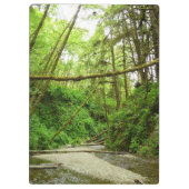 Porte-bloc Fern Canyon I au Redwood National Park (Dos)
