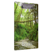 Porte-bloc Fern Canyon I au Redwood National Park (Swatch)