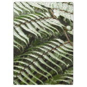 Porte-bloc Fern Fronds II Dark Green Nature (Dos)