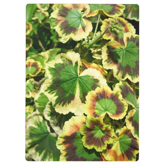 Porte-bloc Feuille (Dos)