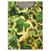 Porte-bloc Feuille (Devant)