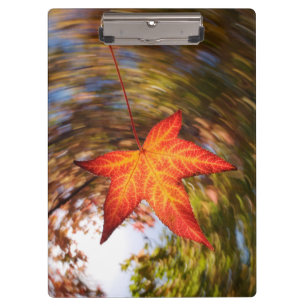 Porte-bloc Feuille tombante d'un arbre en automne