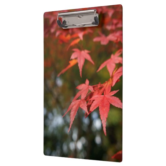 Porte-bloc Feuilles d'automne (Gauche)