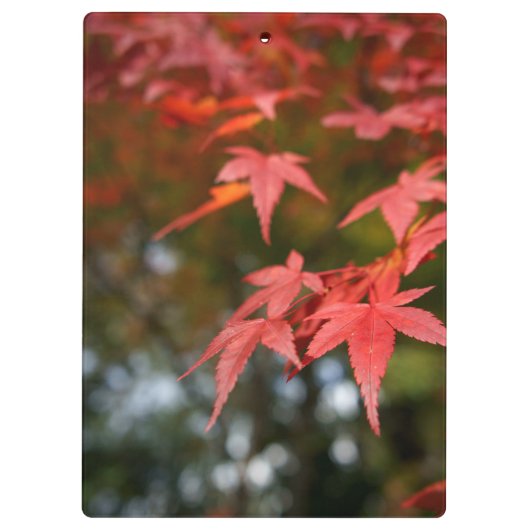 Porte-bloc Feuilles d'automne (Dos)