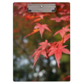 Porte-bloc Feuilles d'automne (Devant)