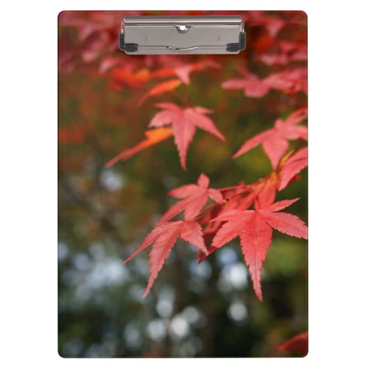 Porte-bloc Feuilles d'automne (Devant)