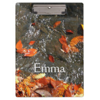 Feuilles d'automne dans la cascade I Photographie