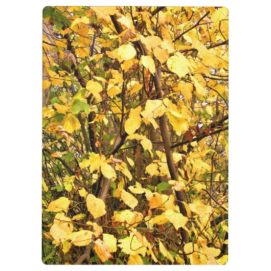 PORTE-BLOC FEUILLES D'AUTOMNE JAUNE (Dos)