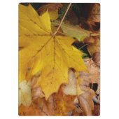 Porte-bloc Feuilles de Érable Tombées Jaune Automne Nature (Dos)