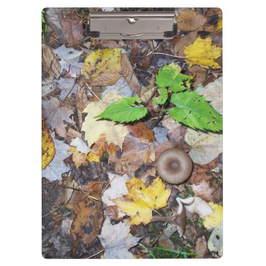 Porte-bloc Feuilles forestiers (Devant)