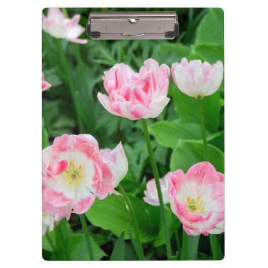 Porte-bloc Field of pink tulips (Devant)