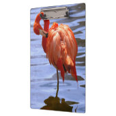 Porte-bloc Flamant sur une jambe dans l'eau (Gauche)