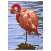 Porte-bloc Flamant sur une jambe dans l'eau (Dos)