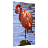 Porte-bloc Flamant sur une jambe dans l'eau (Swatch)