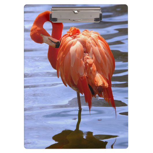 Porte-bloc Flamant sur une jambe dans l'eau (Devant)
