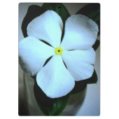 Porte-bloc Fleur blanche (Dos)