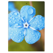 Porte-bloc Fleur bleue Dewey (Dos)
