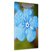 Porte-bloc Fleur bleue Dewey (Swatch)