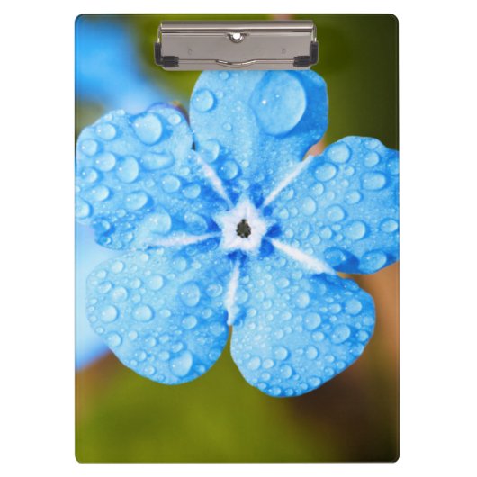 Porte-bloc Fleur bleue Dewey (Devant)