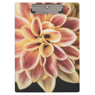 Porte-bloc Fleur Dahlia d'été (Art Floral)
