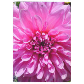 Porte-bloc Fleur Dahlia Rose violet (Dos)