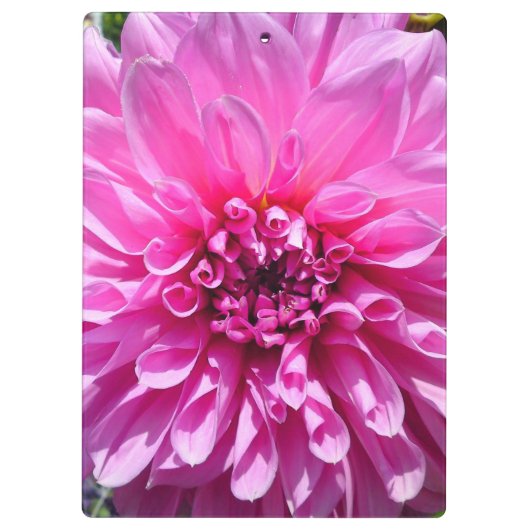Porte-bloc Fleur Dahlia Rose violet (Dos)
