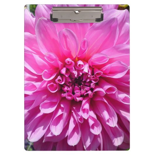 Porte-bloc Fleur Dahlia Rose violet (Devant)